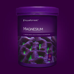 Magnesium1